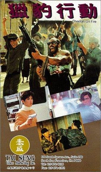 lip pau hang tung 1992 poster