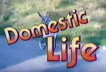 domestic life 1984 poster