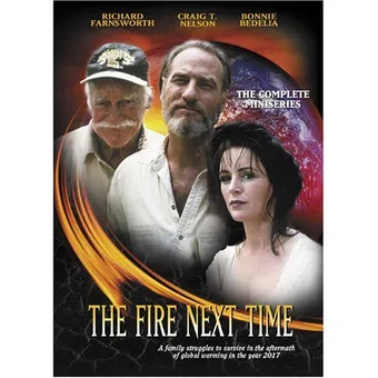 the fire next time 1993 poster