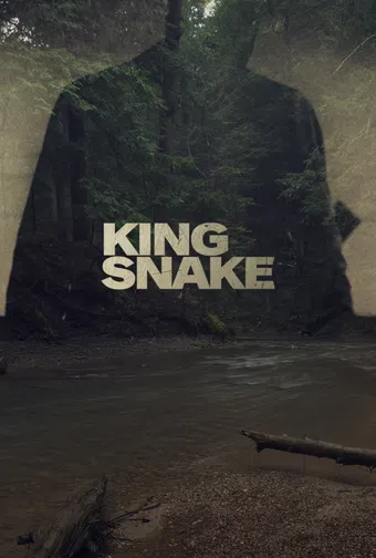 king snake poster