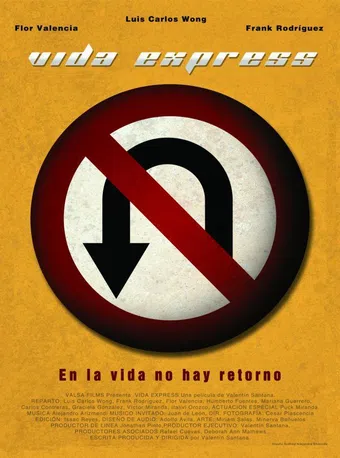 vida express 2011 poster