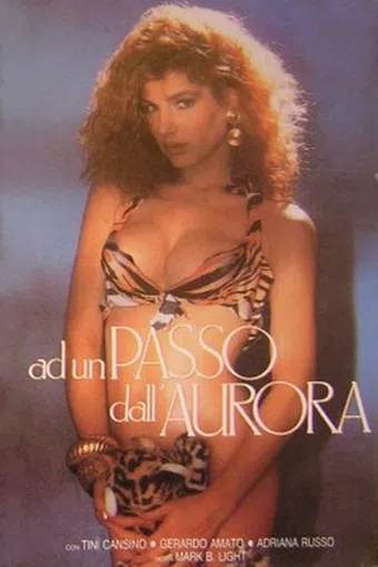 ad un passo dall'aurora 1989 poster