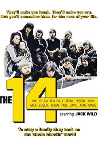 the 14 1973 poster