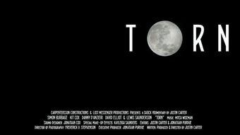 torn: a shock youmentary 2014 poster