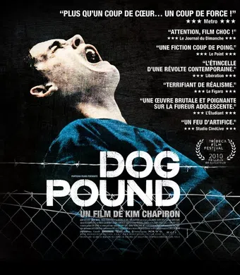 dog pound 2010 poster