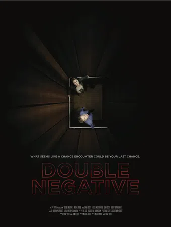 double negative 2012 poster