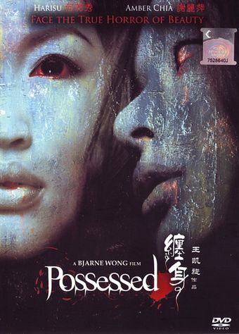 possessed 2006 poster