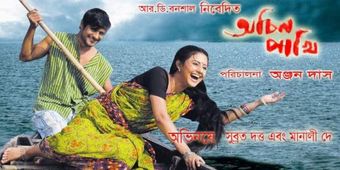 achin pakhi 2010 poster