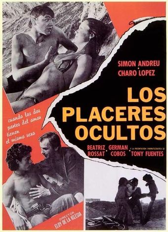 los placeres ocultos 1977 poster