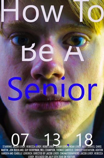 how to be a senior 2019 poster