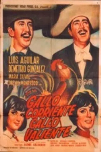 gallo corriente, gallo valiente 1966 poster