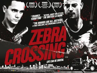 zebra crossing 2008 poster