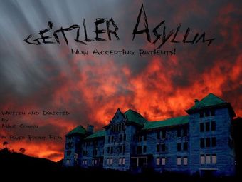 geitzler's asylum 2014 poster