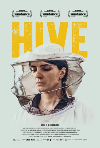 hive 2021 poster