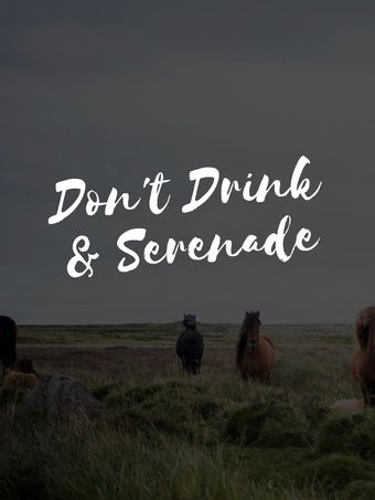 don't drink and drive! serenade 2016 poster