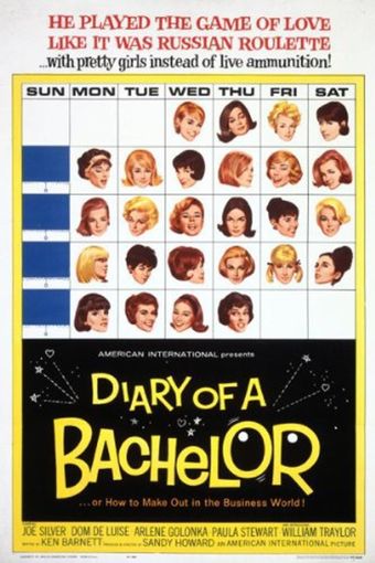 diary of a bachelor 1964 poster