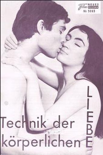 technik der körperlichen liebe 1969 poster