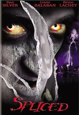 the wisher 2002 poster