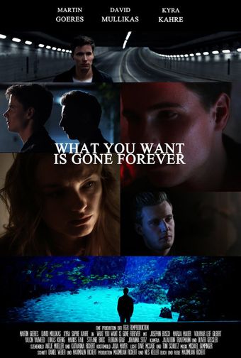 what you want is gone forever 2015 poster