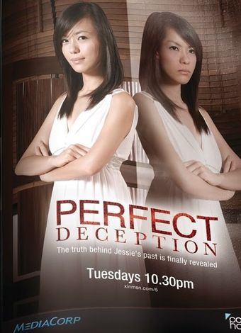 perfect deception 2011 poster