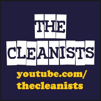 the cleanists 2013 poster