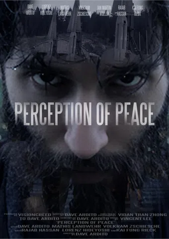 perception of peace poster