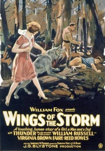 wings of the storm 1926 poster