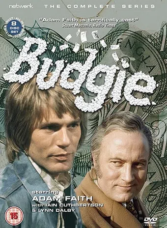 budgie 1971 poster