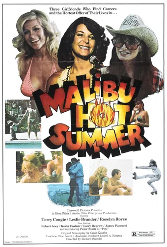 malibu hot summer 1981 poster