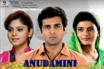 anudamini 2014 poster