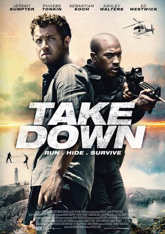 take down 2016 poster