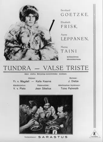 erämaan turvissa 1931 poster