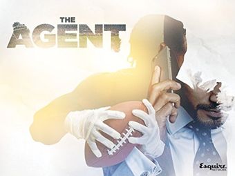 agent 2013 poster