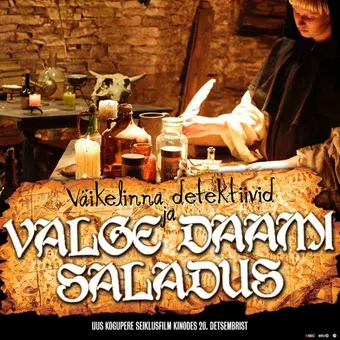 väikelinna detektiivid ja valge daami saladus 2013 poster