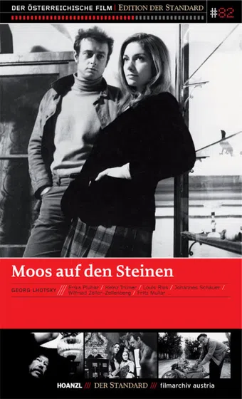 moos auf den steinen 1968 poster