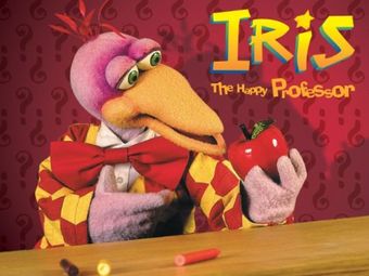 iris the happy professor 1992 poster