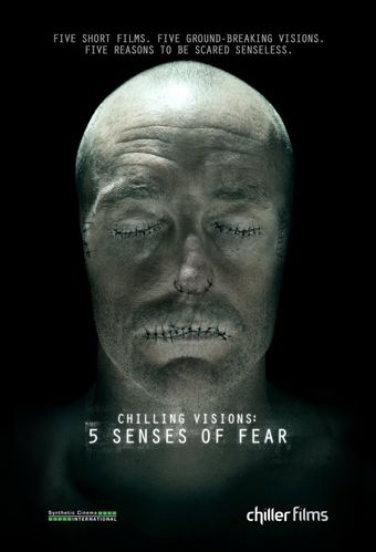 chilling visions: 5 senses of fear 2013 poster