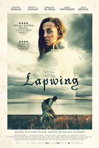 lapwing 2021 poster