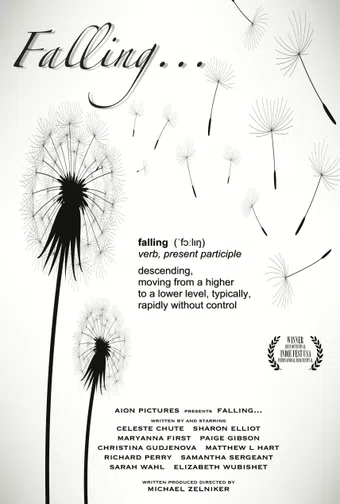 falling... 2012 poster