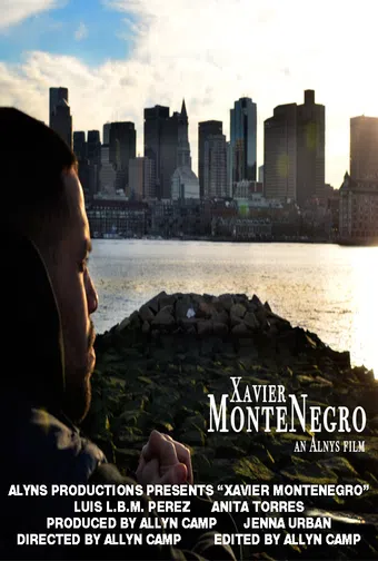 xavier montenegro 2013 poster