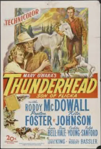 thunderhead: son of flicka 1945 poster