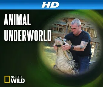 animal underworld 2012 poster