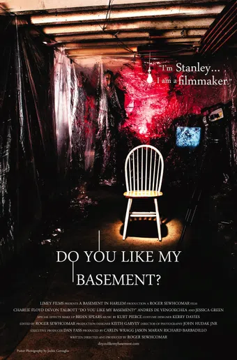 do you like my basement 2012 poster