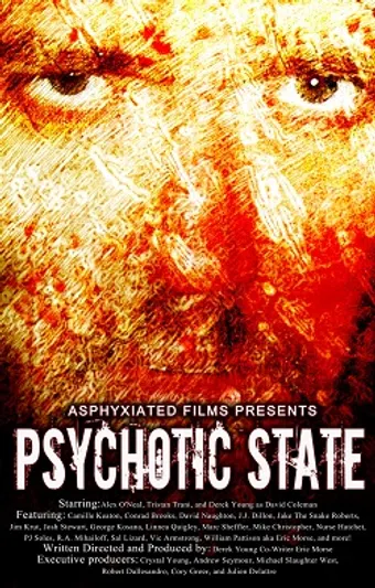 psychotic state 2014 poster