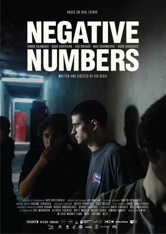 negative numbers 2019 poster