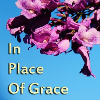 in place of grace 2017 poster