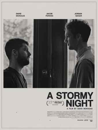 a stormy night 2020 poster