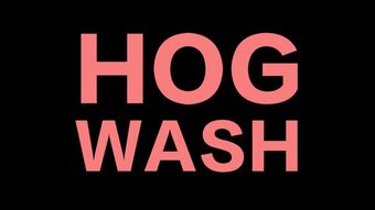 hogwash poster