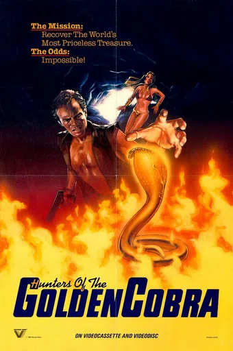 i cacciatori del cobra d'oro 1982 poster