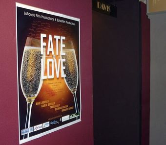 fate to love 2013 poster